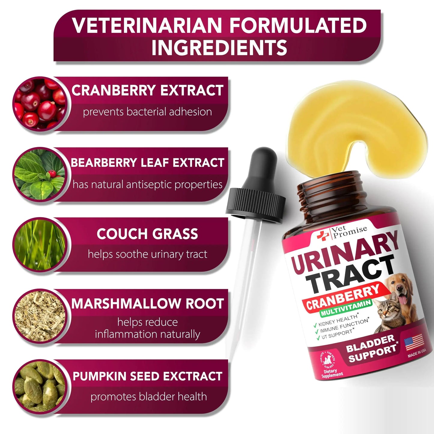 Natural Cranberry UTI Support for Cats Dogs Premium Kidney Bladder Health Epic.Wish.Gifts