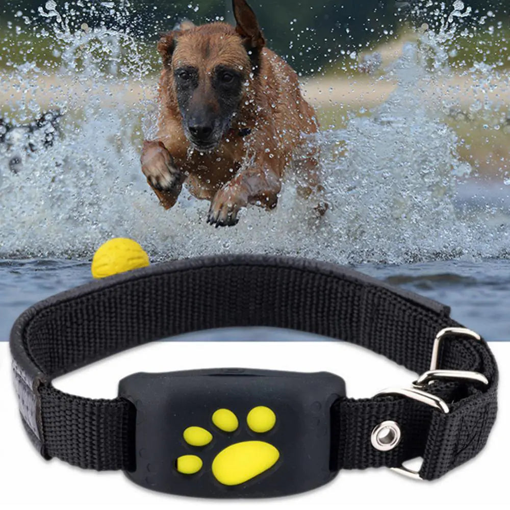 Pet GPS Tracker Collar Epic.Wish.Gifts