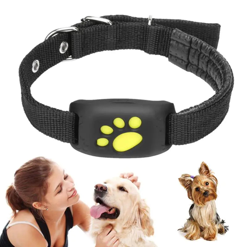 Pet GPS Tracker Collar Epic.Wish.Gifts