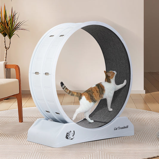 Cat Running Wheel, Small Animal Exercise Treadmill w/ Locking Mechanism, Carpet Runway, Cat Teaser Toy, Indoor, White Gray Doba