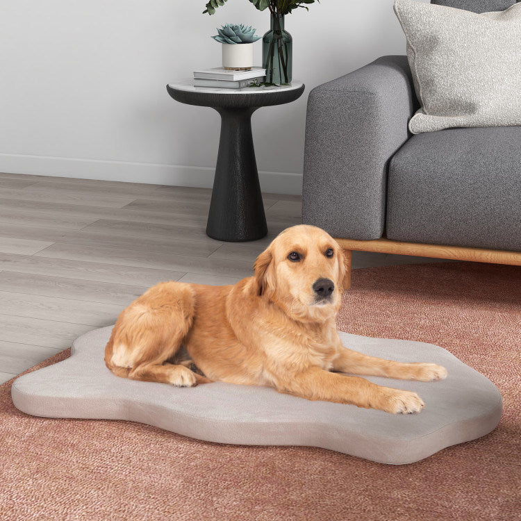 Orthopedic Dog Bed with Memory Foam Support for Large Dogs Doba